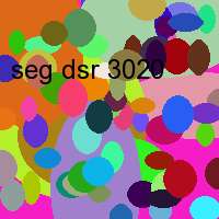 seg dsr 3020