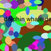 dolphin whale dedicated